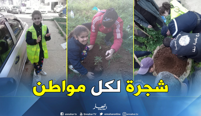بالصور.. حملة تشجير واسعة بالشفة في ولاية البليدة