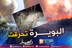 البويرة.. الحرائق تأتي على الاخضر واليابس ونفوق الثروة الحيوانية بجرجرة