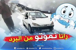 بالفيديو.. مواطن من قرية أولاد راشد بالمعمورة في البويرة يستغيث