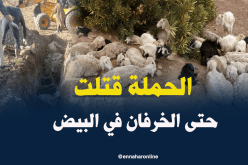 بالصور.. هذه خسائر الموالين جراء سوء الأحوال الجوية بالبيض