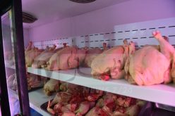 بطراوي.. نعمل على توفير اللحوم البيضاء بأسعار معقولة خلال رمضان