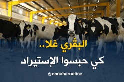 إرتفاع أسعار الأبقار والموالون يشتكون