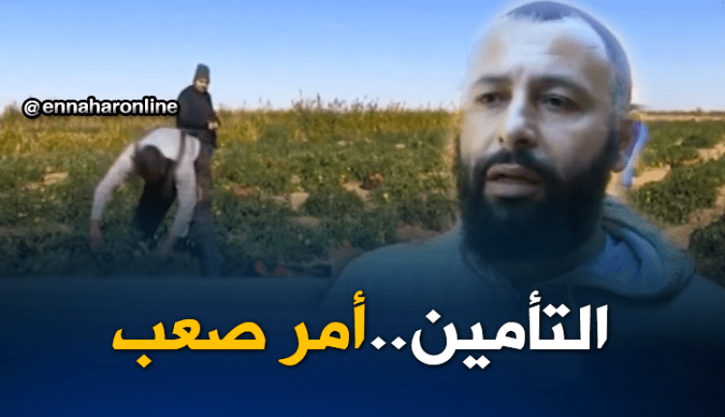 إقبال ضعيف على التأمينات الفلاحية بالرغم من تنوع الإنتاج