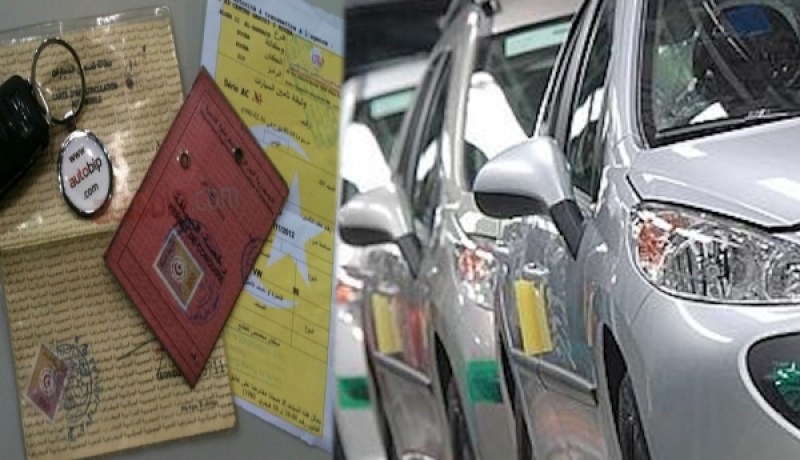 منظمة حماية المستهلك تنتقد قرار تجميد العمل بأرخص عقد لتأمين السيارات