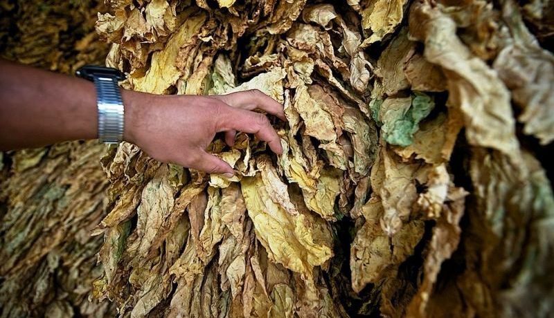 توقيف مهرّب على متن شاحنة محمّلة بـ42 قنطار تبغ في بسكرة