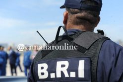 تفكيك شبكة مختصة في ترويج المخدرات بتلمسان