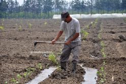 هذه هي القواعد الجديدة المنظمة للتعاونيات الفلاحية