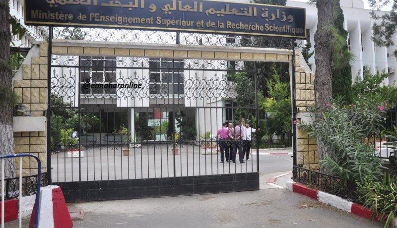 وزارة التعليم العالي تشرع في الرد على طلبات تمديد المنح للأساتذة والطلبة دفعة 2019-2020