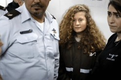 مُحاكمة عهد التميمي في جلسة مغلقة