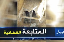 وزارة الثقافة تفتح تحقيقا في قضية تخريب اللوحة الفسيفسائية المكتشفة بنقرين في تبسة