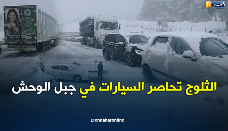بالفيديو.. الثلوج تحاصر مئات السيارات بالطريق السيار في جبل الوحش بقسنطينة
