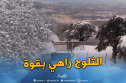 الثلوج بالمدية تشل حركة المرور وتعلق الدراسة بالجامعة