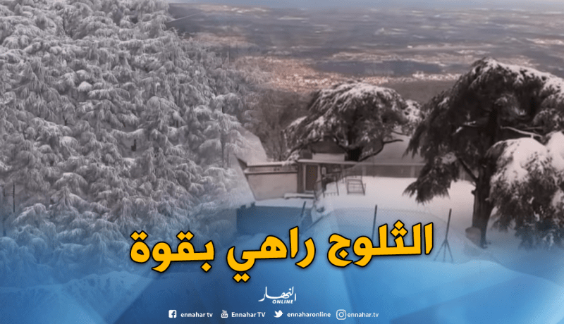 الثلوج بالمدية تشل حركة المرور وتعلق الدراسة بالجامعة