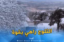 اختناق شخصين وصعوبة في حركة المرور بسبب الثلوج في المدية