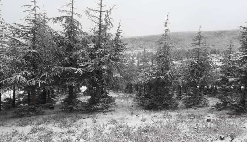 تساقط الثلوج على المرتفعات التي يزيد علوها عن 700 متر بـ 18 ولاية