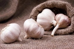 تحضيرات رمضان 2024.. تخزين الثوم بهذه الطريقة يسبب التسمم