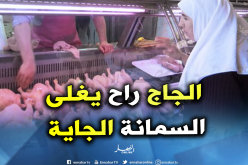 روبايين: أزمة في الأسواق و الدجاج بـ400 دينار للكيلو