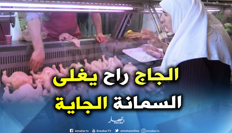 روبايين: أزمة في الأسواق و الدجاج بـ400 دينار للكيلو