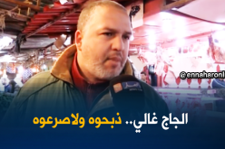 أسعار اللحوم البيضاء تواصل الإرتفاع رغم قضية صعق الدجاج