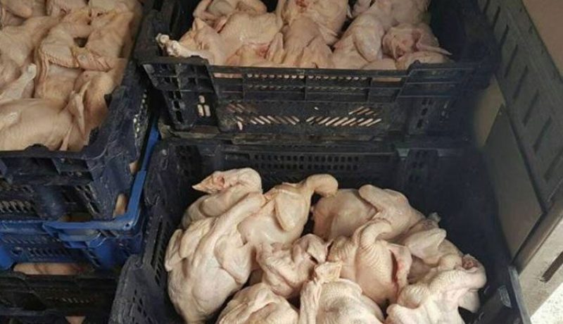 درك بومرداس يحجز 280 كيلوغرام من بقايا الدجاج غير صالحة للإستهلاك