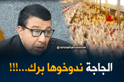 طريقة صرع الدجاج “تجيب” إنتاج وفير