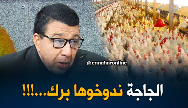 طريقة صرع الدجاج “تجيب” إنتاج وفير