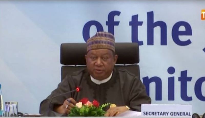 الأمين العام لمنظمة الاوبك ” نواجه تحديات بسبب الأزمة المالية “