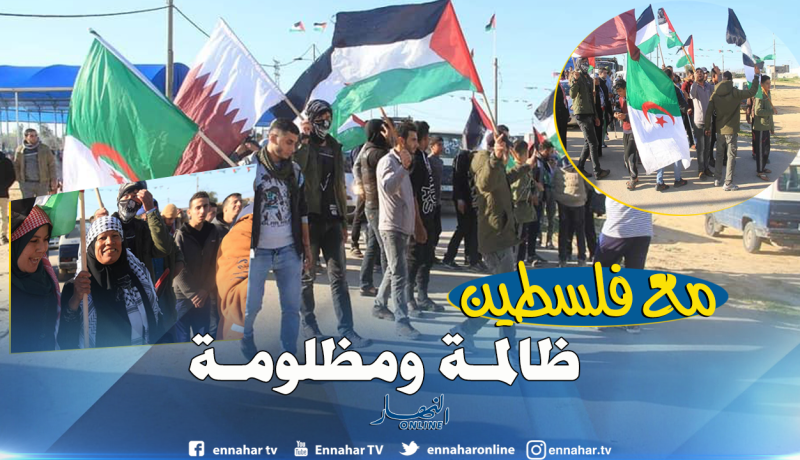 بالصور.. الجزائر حاضرة في مسيرات العودة الكبرى بفلسطين