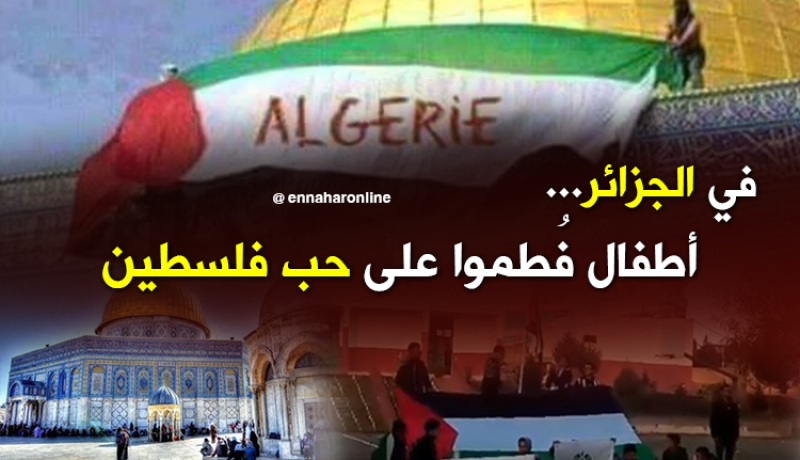 في الجزائر.. حتى أطفال المدارس متضامنون مع فلسطين