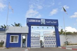 النعامة: عمال “الجزائرية للمياه” يطالبون بتحسين وضعيتهم المهنية والاجتماعية