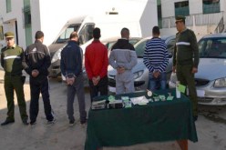 تفكيك عصابة سرقة وتزوير المركبات في الجلفة  