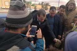 بالصور.. حملة لغرس الأشجار بقطارة في الجلفة