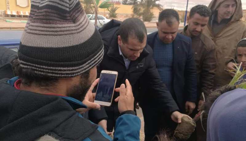 بالصور.. حملة لغرس الأشجار بقطارة في الجلفة