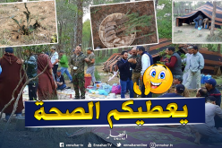 الجلفة.. مبادرة لغرس 1000 شجيرة في غابة “سن لبا”
