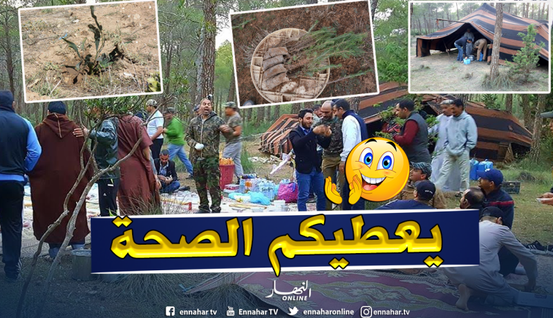الجلفة.. مبادرة لغرس 1000 شجيرة في غابة “سن لبا”