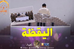 بالصور.. حجز 48 كلغ من الكيف في كل من بشار وسكيكدة