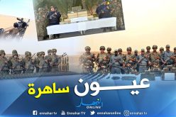هذه حصيلة الجيش في محاربة الإرهاب والجريمة المنظمة خلال شهر فيفري