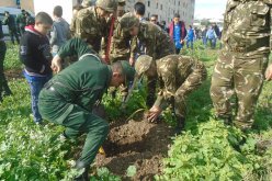 بالصور.. أفراد الجيش في حملة تشجير بميلة