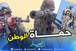 بالفيديو.. هذه حصيلة عمليات الجيش خلال السداسي الأول من 2019