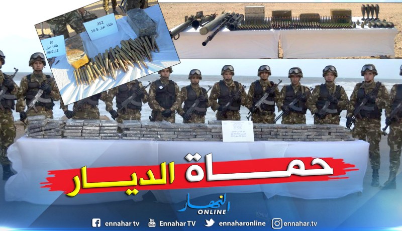 بالفيديو والصور.. هذه حصيلة عمليات الجيش في شهر جانفي 2019
