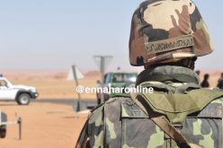 الجيش يكشف ويدمر قنبلة تقليدية و7كلغ من المواد المتفجرة بسكيكدة