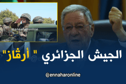 ولد عباس: الجزائر نجت من الربيع العربي بفضل الرئيس والجيش الوطني