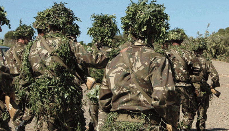 تدمير 3 مخابئ للإرهابيين بباتنة وحجز مواد كيميائية تستعمل في صناعة المتفجرات