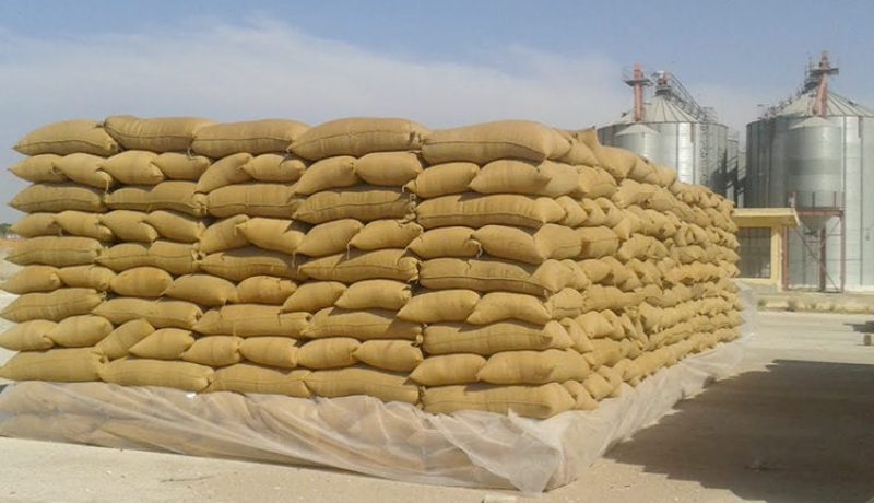 الديوان الوطني المهني للحبوب يشرع في رقمنة كل عمليات التسيير