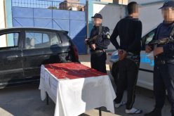 الشرطة تحجز أكثر من 19 ألف قرص مهلوس في الوادي