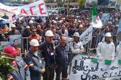 عنابة.. تجديد أعضاء مجلس إدارة مركب الحجار