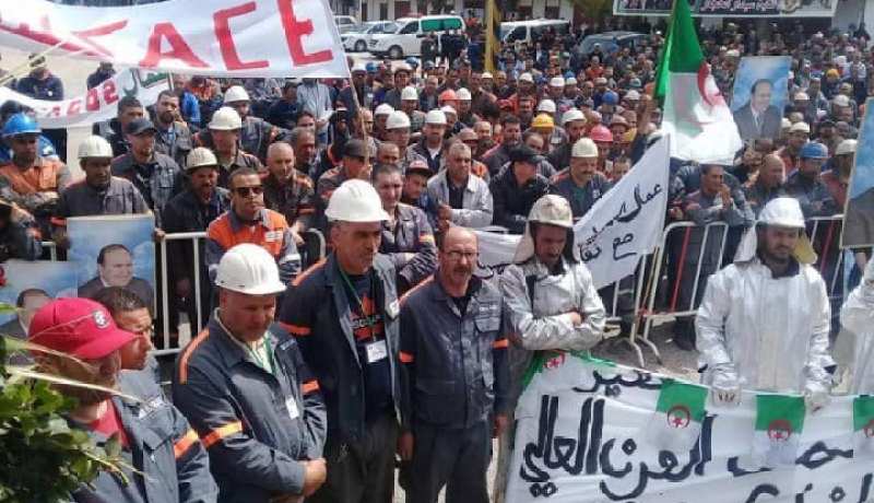 عنابة.. تجديد أعضاء مجلس إدارة مركب الحجار