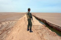 إحباط عملية تهريب 13 سبيكة ذهب وحوالي 600 ألف أورو في تونس