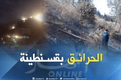 بالصور.. الحرائق تأتي على 41 هكتارا من الأراضي الزراعية بقسنطينة