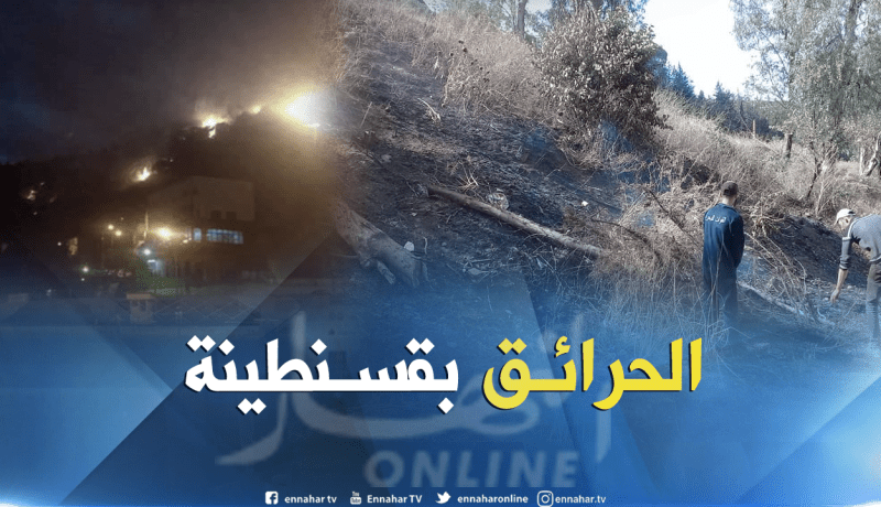بالصور.. الحرائق تأتي على 41 هكتارا من الأراضي الزراعية بقسنطينة